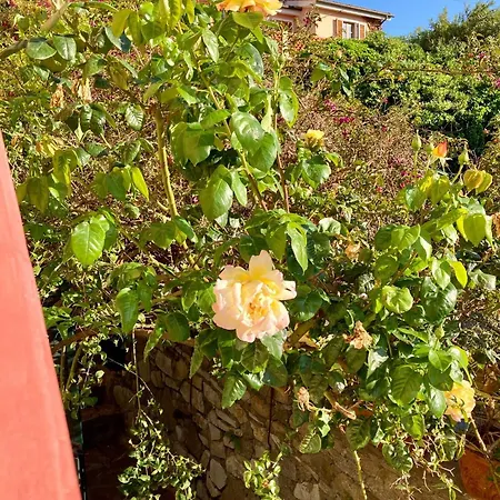 Belvedere Hébergement de vacances *
