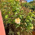 Belvedere Marciana Marina (Isola d'Elba)